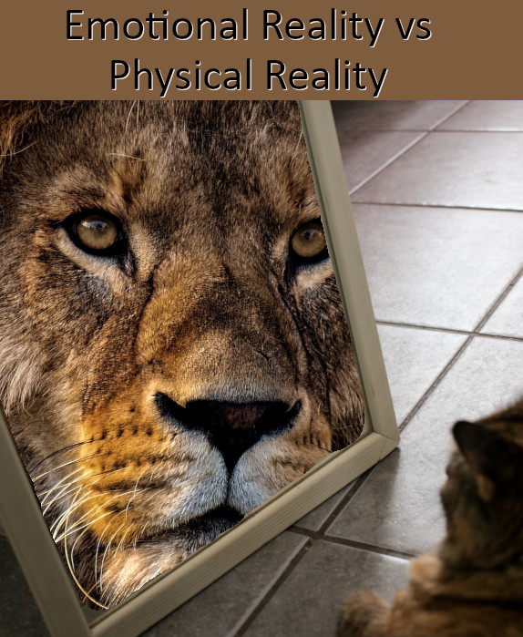 Emotional Reality versus Physical Reality